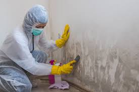 Best Biohazard Mold Removal  in Merrionette Park, IL